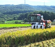 절기 입추, 전북은 폭염…곳곳에 요란한 소나기