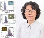 경상대 정미윤 교수팀 '10분 내 빛 파장 조절' 기술 개발