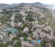 군산시 월명공원 '아름다운 도시숲 50선' 선정