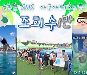 방문객 몰리는 '임실아쿠아페스티벌' SNS 콘텐츠 1만 달성