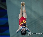 APTOPIX Paris Olympics Diving