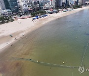 경북 동해안 해수욕장 피서객 감소…"해파리, 폭염 탓인 듯"