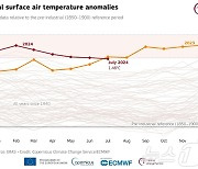 '역대 최고기온' 경신 13개월 만에 끝…7월 세계기온 역대 2위