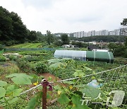 8·8부동산 대책, 서울 '그린벨트' 12년 만에 푼다…8만가구 '택지' 공급