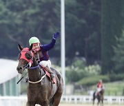 [경마] 글로벌히트 또다시 히트! 하반기 첫 대상경주 'KRA컵 클래식' 우승