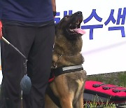 "컹컹! 여기 사람 있어요!"...수중 실종자 찾는 견공