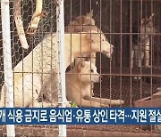 “개 식용 금지로 음식업·유통 상인 타격…지원 절실”