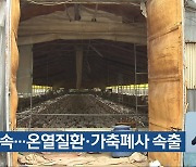 폭염 계속…온열질환·가축폐사 속출