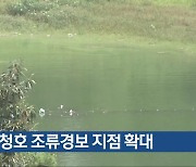 대청호 조류경보 지점 확대