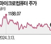 'AI 수혜주' 슈퍼마이크로, 수익 둔화 우려에 13%↓