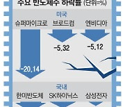 100弗 깨진 엔비디아 K반도체 줄줄이 하락