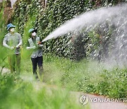 말라리아 경보…울산시 "위험지역 방문 시 모기 주의"