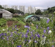 "수도권 그린벨트 풀어 주택공급"…지역은 '기대 보단 우려'