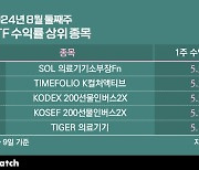 '블랙먼데이' 충격에도 일어선 의료기기주[ETF워치]