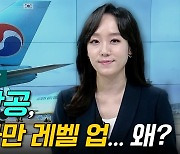 [이지혜의 뷰]대한항공, 나 혼자만 레벨 업...왜?