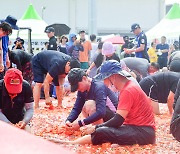 “토마토 속 금반지 찾아라”…횡성 둔내고랭지토마토축제 개막