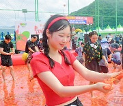 “토마토 속 금반지 찾아라”…횡성 둔내고랭지토마토축제 개막