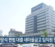 양문석 편법 대출 새마을금고 임직원 징계