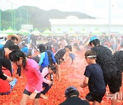 '황금반지를 찾아라' 횡성고랭지토마토축제 개막