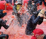 토마토와 함께 물아일체