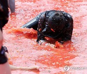 토마토에 숨겨진 금반지를 찾아서