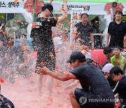 토마토가 날아다니는 축제장