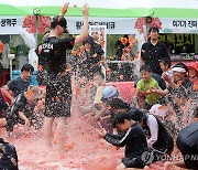 토마토가 날아다니는 축제장