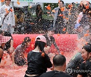 토마토가 날아다니는 축제장