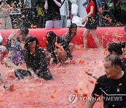 토마토가 날아다니는 축제장