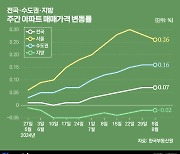 8·8대책, 부동산 시장 되레 '팔팔' 끓게 한다고?