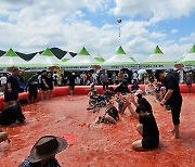 파란 하늘 아래 빨간 토마토 축제장