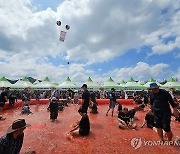 파란 하늘 아래 빨간 토마토 축제장