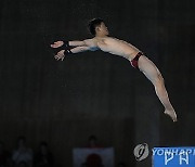 Paris Olympics Diving