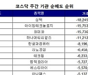 코스닥 주간 기관 순매도 1위 '심텍'