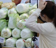 장마·폭염 여파에 채솟값 `고공행진`…고추 56%·오이 37%↑