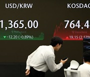 '롤러코스터' 증시에 프로그램 매매도 급증