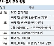 美 CPI·소매지표 이번주 발표... 시장 변동성 당분간 이어질듯 [주간 증시 전망]