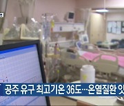 공주 유구 최고기온 36도…온열질환 잇따라