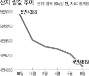 쌀값 폭락에 농심 폭발…논도 갈아엎었다