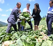 “고랭지밭 살리자”…농산물 지키기 프로젝트