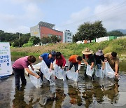 '미꾸리로 해충방제·생태계 보호도'…경기도, 3만마리 하천 방류