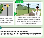 전력선 위험목 제거 `산불위험` 예방…적극행정 우수사례 선정