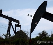 OPEC "中 부진에 올해 원유 수요량 감소 전망"