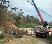 전력선 주변 산불 위험목 제거사업 적극행정 우수사례 선정...12일 산림청 소식