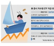 "약세장 버텨라"…S&P지수 ETF로 피난