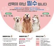 9월 말까지 ‘동물 등록’ 신고 해야, 위반하면 60만 원 과태료