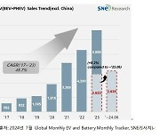 상반기 中제외 전기차인도량, 작년대비 8.2%↑…테슬라 1위