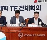 '포털 불공정 개혁 TF'회의서 발언하는 추경호 원내대표