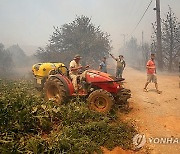 GREECE WILDFIRE