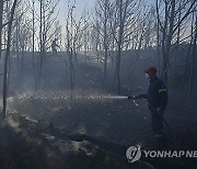 APTOPIX Greece Wildfires